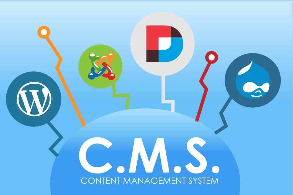Everything You Need to Know About CMS