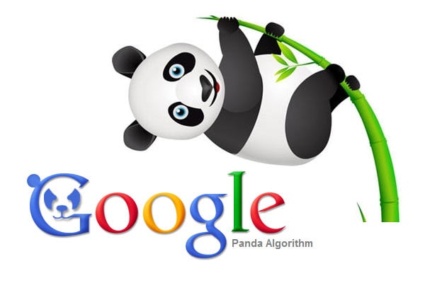 Everything You Need to Know About Google Panda